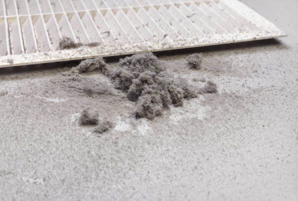 Best Commercial HVAC Duct Cleaning  in Camden, TN