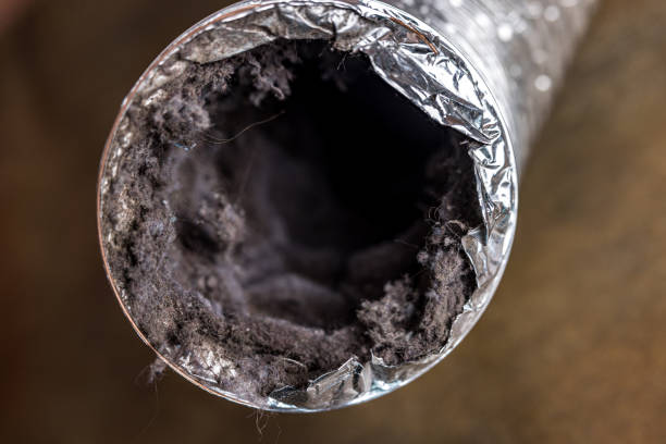 Best Local Air Duct Cleaning Services  in Camden, TN