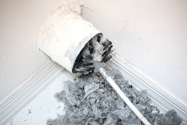 Best Affordable Duct Cleaning Services  in Camden, TN